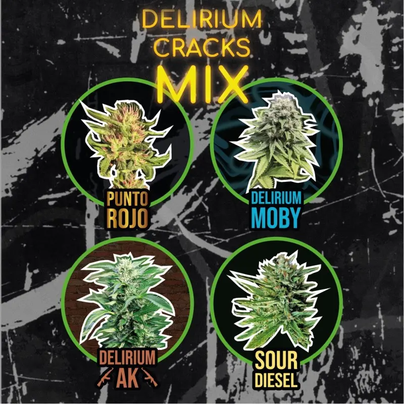 Mix Delirium Cracks Auto 14 Semillas Delirium Seeds