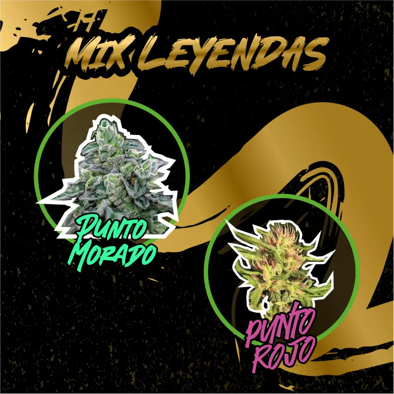 Mix Leyendas Fem 14 Semillas Delirium Seeds
