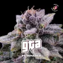 GTA Fem 4 Semillas BSF Seeds