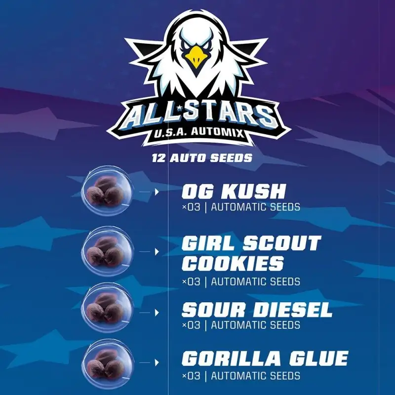 All Star USA Automix 12 Semillas BSF Seeds