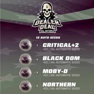 Dealer Deal XXL Automix 12 Semillas BSF Seeds 