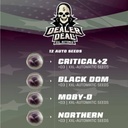 Dealer Deal XXL Automix 12 Semillas BSF Seeds 