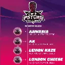 Psycho XXL Automix 12 Semillas BSF Seeds