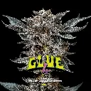 Gorilla Glue #4 Fem 4 Semillas BSF Seeds