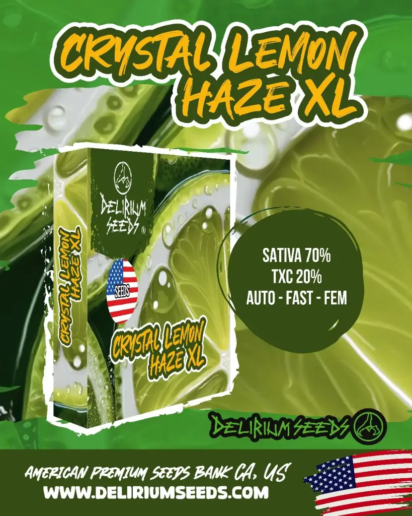 Crystal Lemon Haze XL Auto 1 Semillas Delirium Seeds
