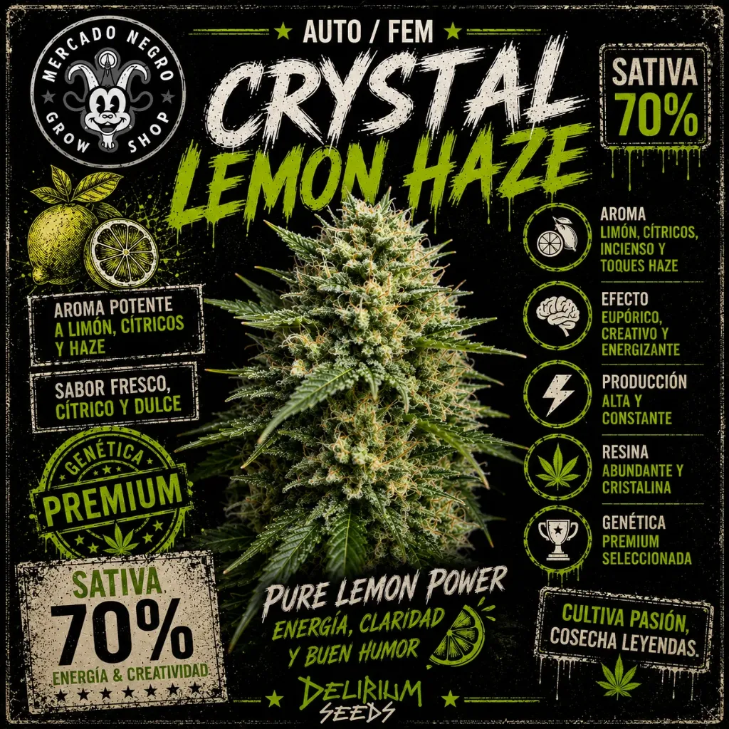 Crystal Lemon Haze XL Auto 4 Semillas Delirium Seeds