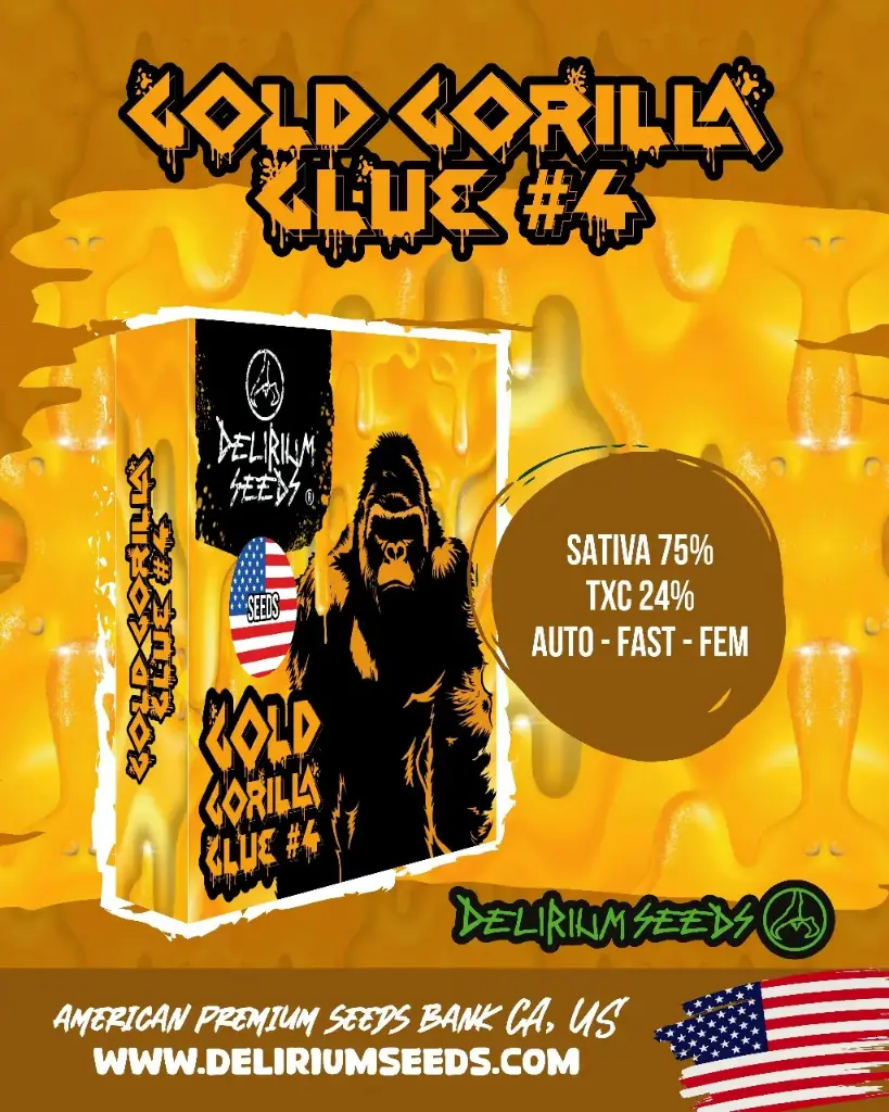 Gold Gorilla Glue #4 Auto 4 Semillas Delirium Seeds