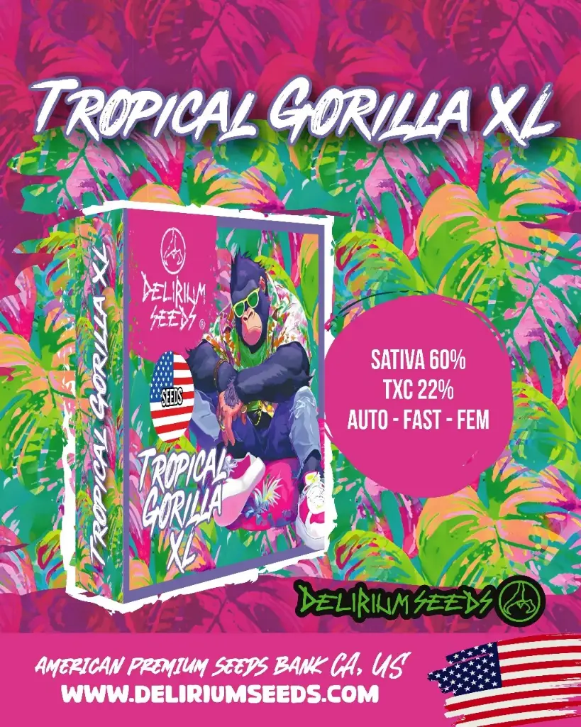 Tropical Gorilla XL Auto 4 Semillas Delirium Seeds