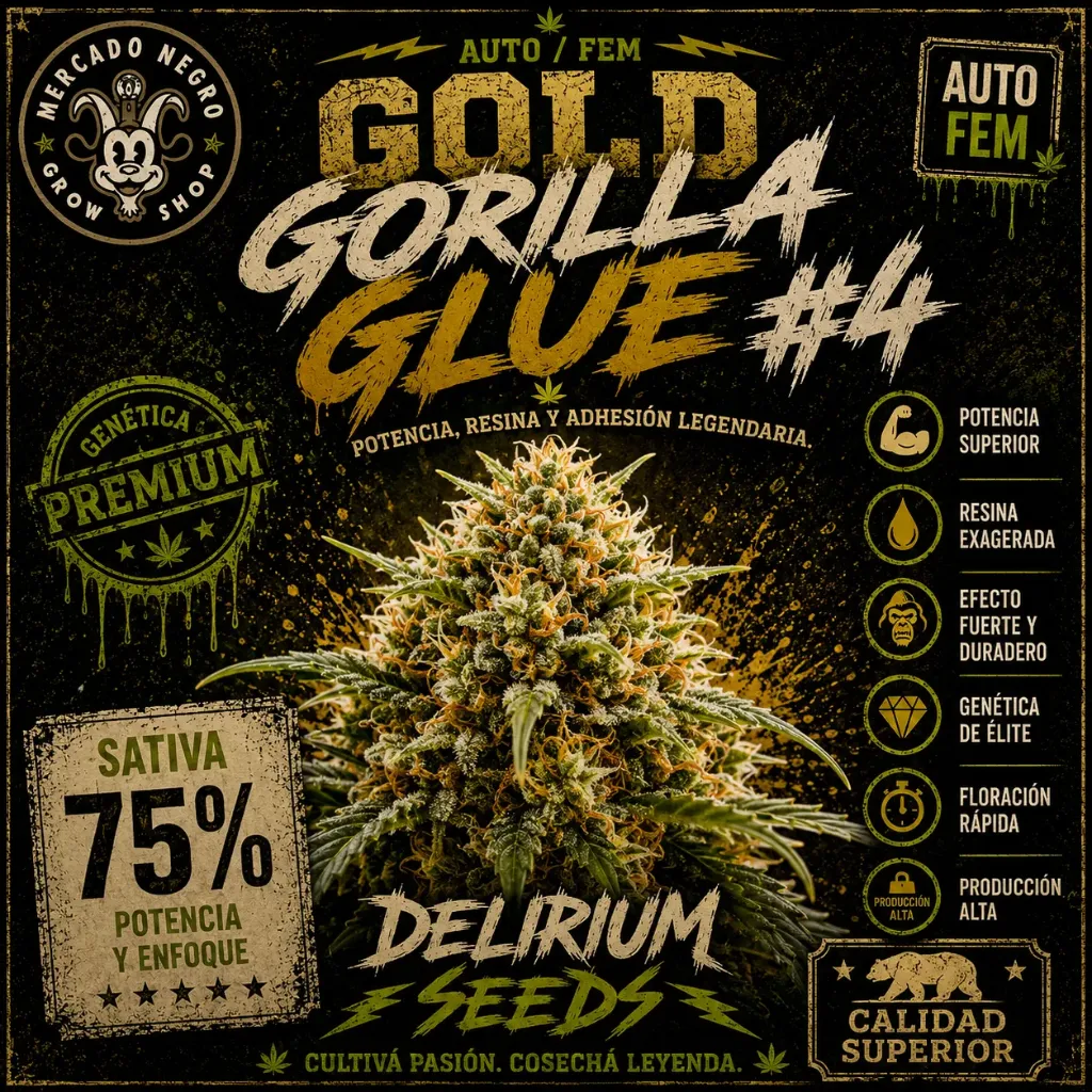 Gold Gorilla Glue #4 Fem 1 Semillas Delirium Seeds