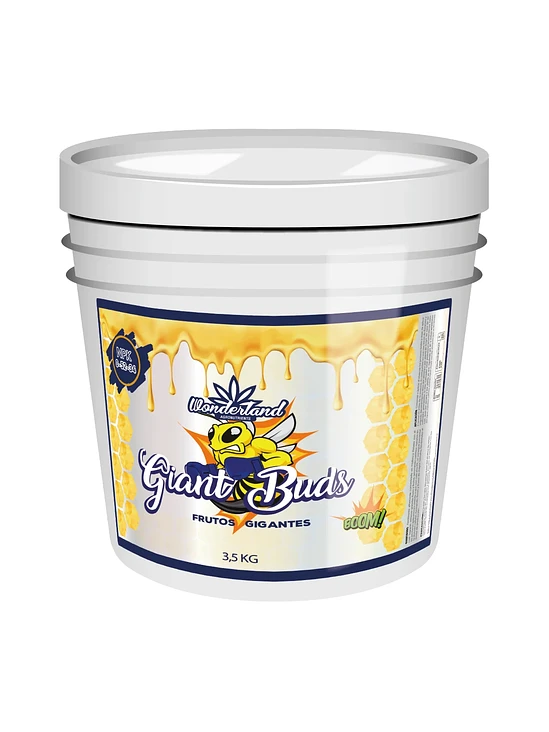 Giant Buds 3.5kg Wonderland