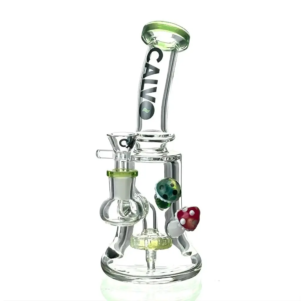 Dual Fungi Rig Calvo Glass