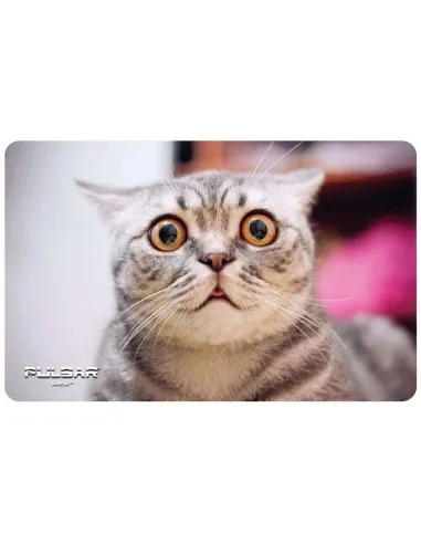 Pulsar Babpadz Rectangular Stoned Cat