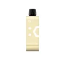 Pod Recarga 9000 Puff Mango Durazno Ice Elfbar