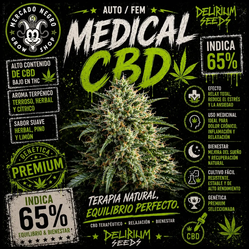Medical CBD Auto 1 Semillas Delirium Seeds