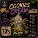 Cookies Cream Auto 1 Semillas Delirium Seeds