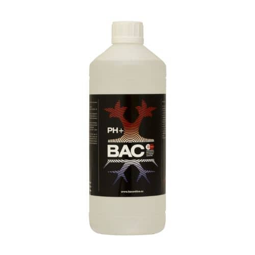 PH + 1L BAC