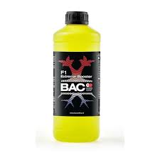 F1 Extreme Booster 1L BAC