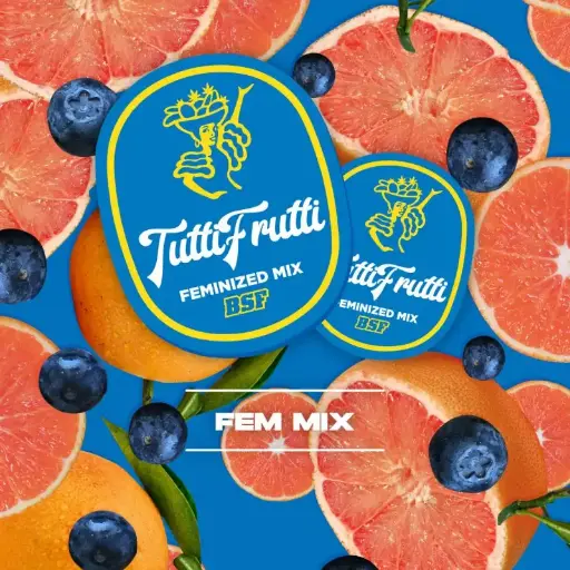 Tutti Frutti Fem Mix 4 Semillas BSF Seeds
