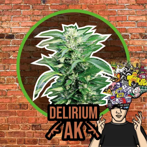 Delirium AK Auto 4 Semillas Delirium Seeds