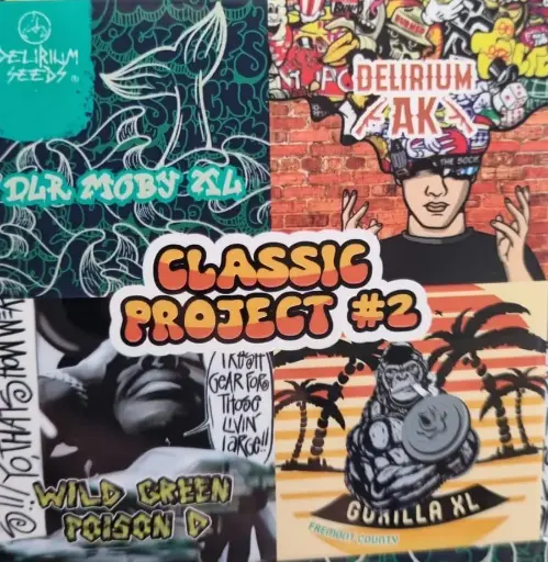 Mix Classic Proyect 2 Auto 4 Semillas Delirium Seeds