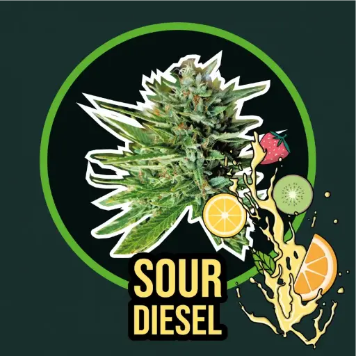 Sour Diesel Fem Fast Version 4 Semillas Delirium Seeds