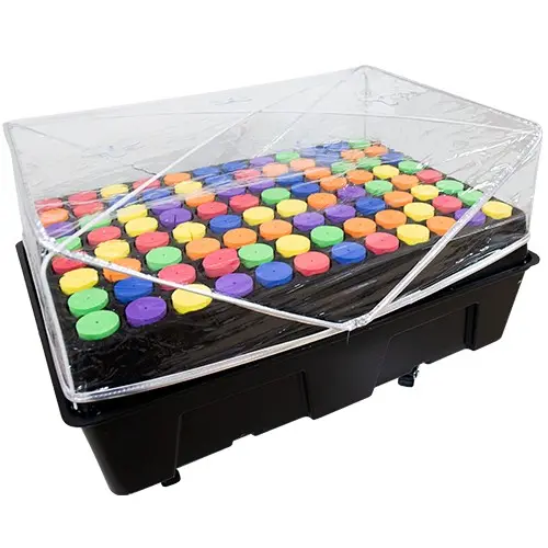 Aerocloner 96 Alveolos Neptune Hydroponics