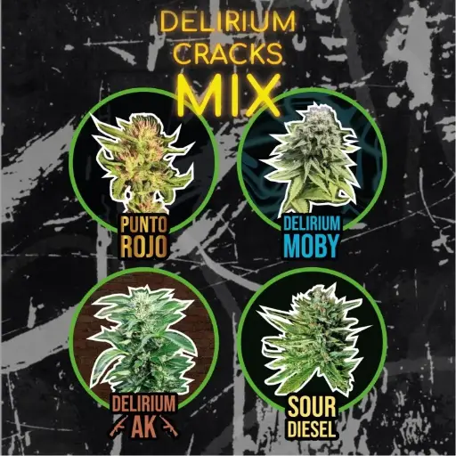 Mix Delirium Cracks Auto 14 Semillas Delirium Seeds