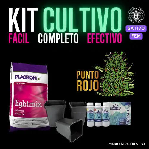 Kit Cultivo Fem Sativo