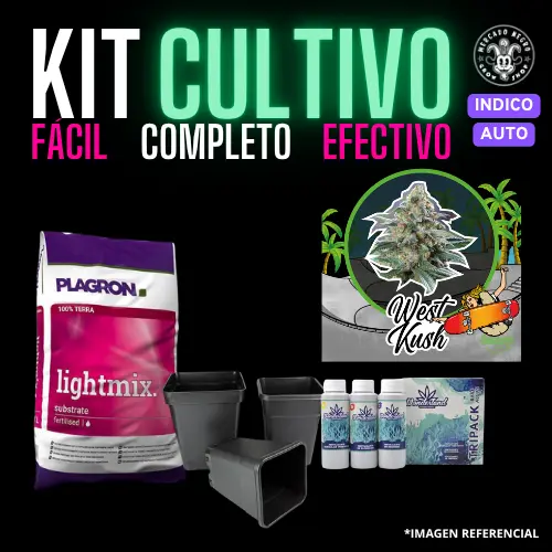 Kit Cultivo Auto Indico