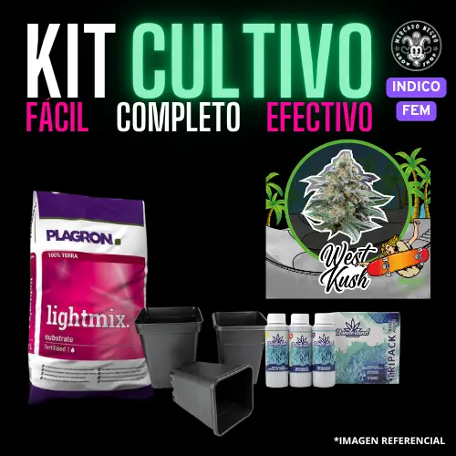 Kit Cultivo Fem Indico