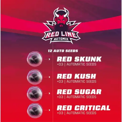 Red Line Automix 12 Semillas BSF Seeds