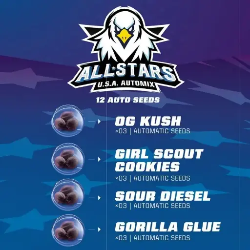 All Star USA Automix 12 Semillas BSF Seeds