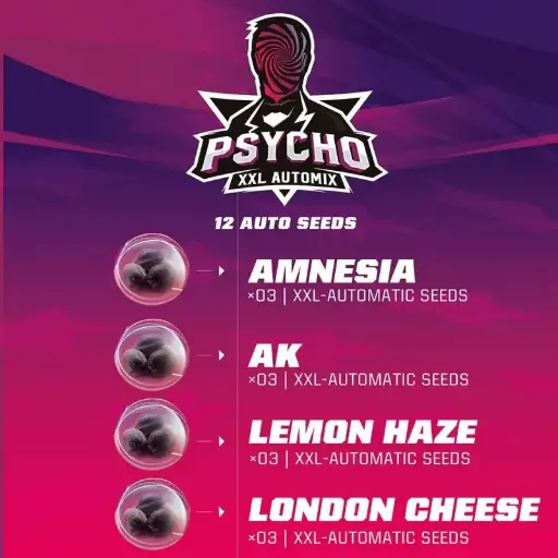 Psycho XXL Automix 12 Semillas BSF Seeds