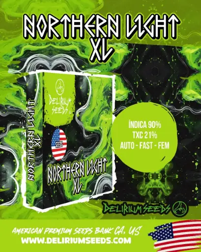 Northern Light XL Auto 1 Semillas Delirium Seeds