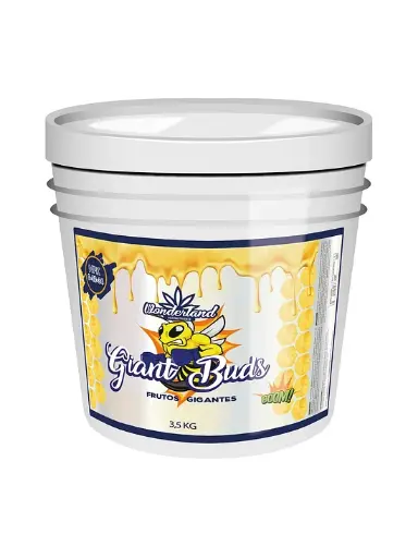 Giant Buds 3.5kg Wonderland