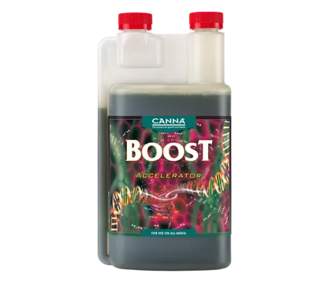 Boost Accelerator 1L Canna